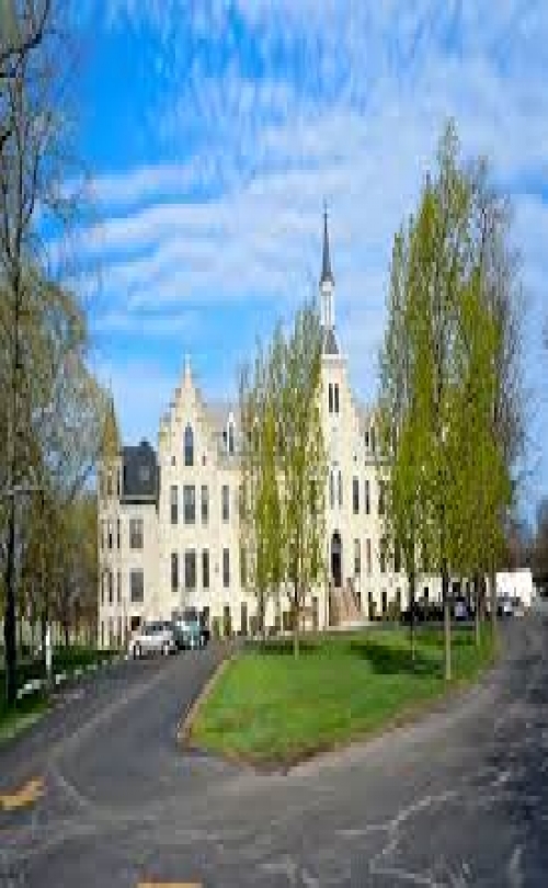 University of St. Francis
